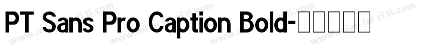 PT Sans Pro Caption Bold字体转换